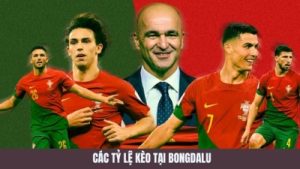 Bongdalu – Trang web cung cấp thông tin bóng đá chính xác nhất