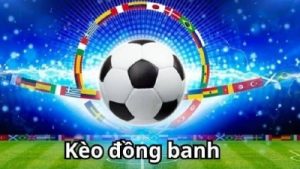 5 mẹo cá cược bóng đá kèo đồng banh hiệu quả thắng lớn